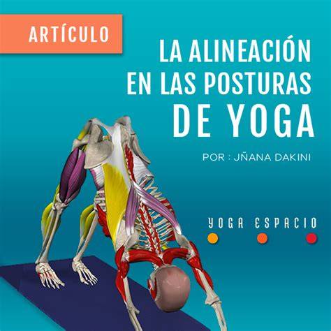 ilustración de la alineación en Iyengar yoga
