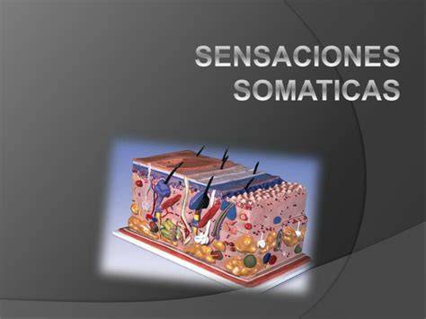 Ilustración de sensaciones somáticas y commutación autógena