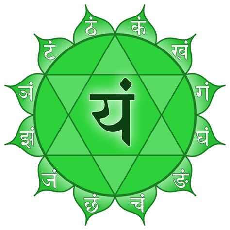 ilustracion simbolo Anahata y la flor de loto de 12 pétalos