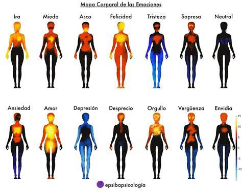 esquema de zonas corporales y emociones