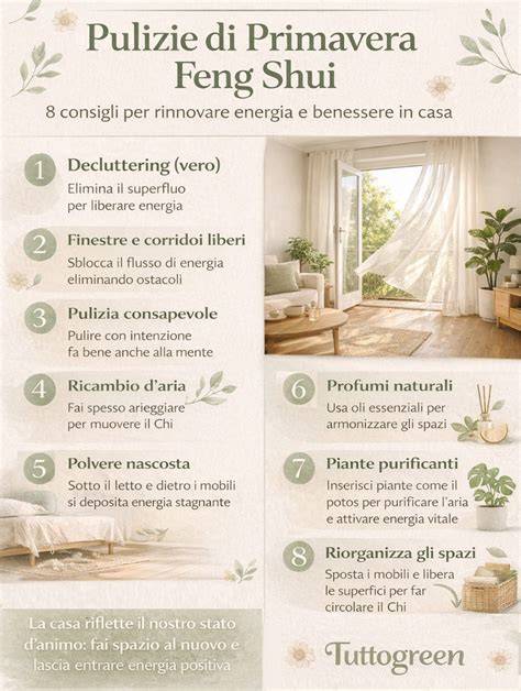 infografica feng shui minimalista