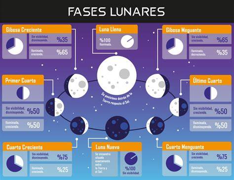 infografía fases lunares y decoración