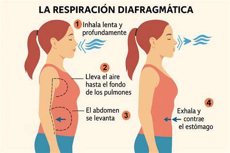 ilustración de respiración diafragmática