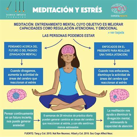 visuales informativos sobre distintos estilos de meditación