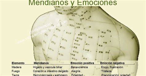 Esquema de meridianos y emociones