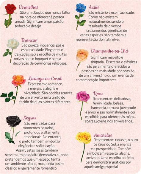 significado espiritual fenicottero rosa