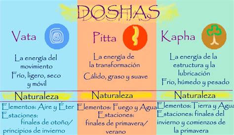 infografía balance doshas y salud ayurveda