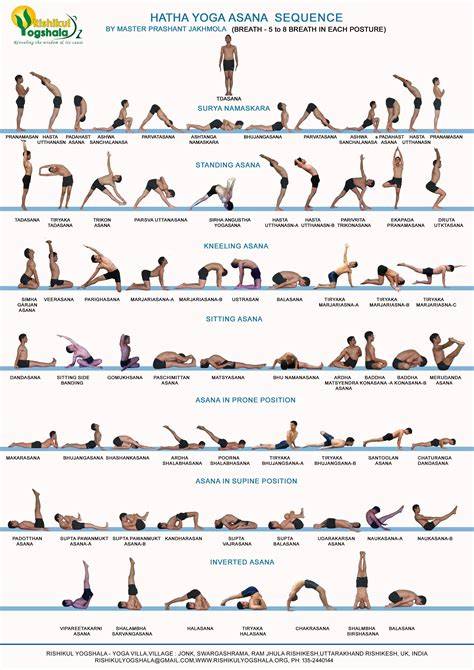 gráficos de las 15 asanas clásicas de Hatha Yoga Pradipika