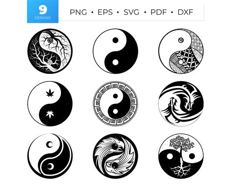 gráficos comparativos Yin-Yang y fuerza en Tai Chi