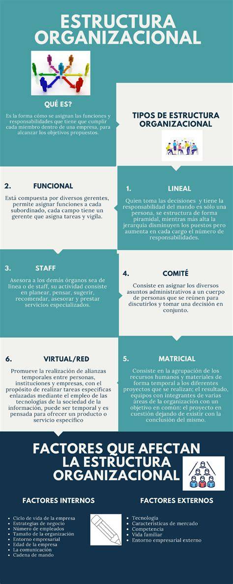 infografía de estructura de formación YAI