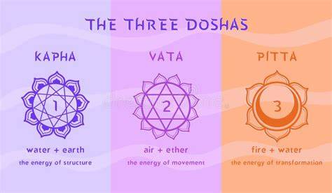Ilustración de esquema de doshas y equilibrio corporal