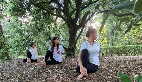 infografica corsi yoga e terapie naturali