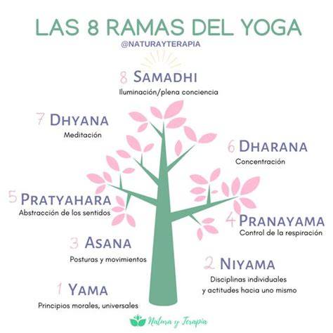 Gráfico de los ocho mṛmbros del yoga (esquema)