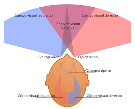 campo visual de meditación en naturaleza