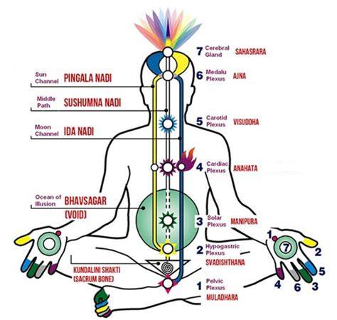 esquema de flujo de prana por Sushumna Ida Pingala