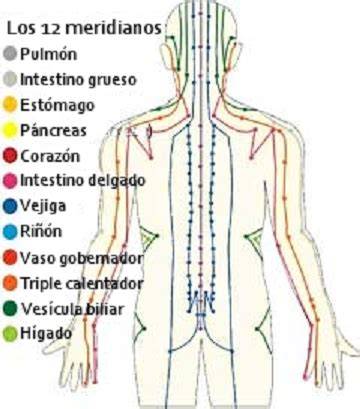diagrama de los meridianos y puntos de acupresión