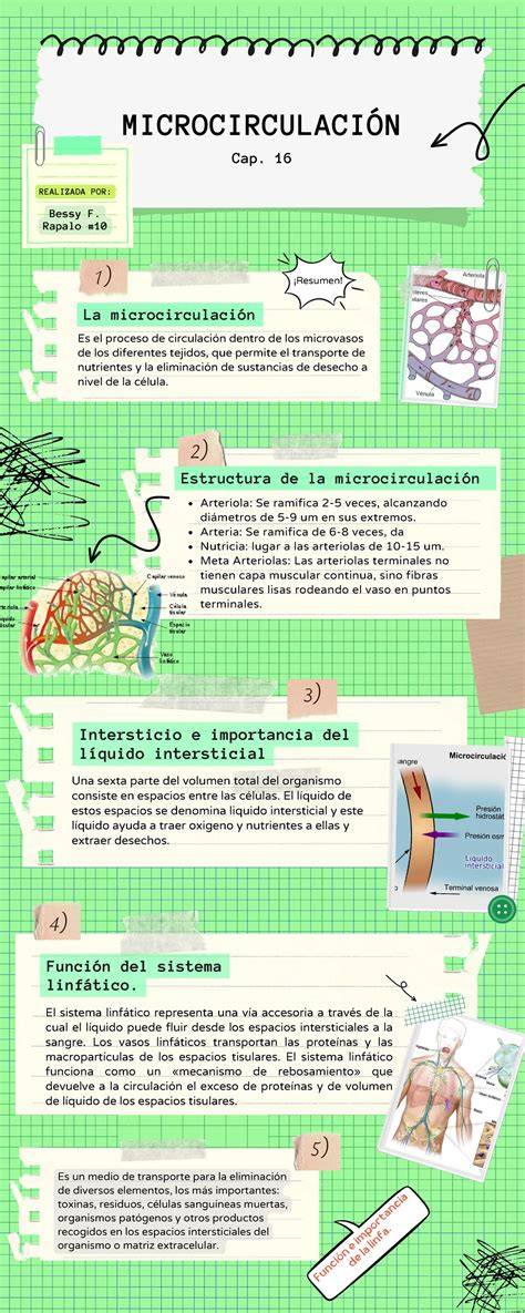 Infografía sobre microcirculación y extremidades