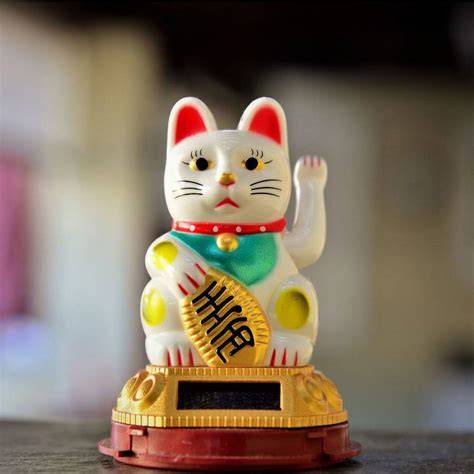 infografica origen y simbolismo del maneki neko