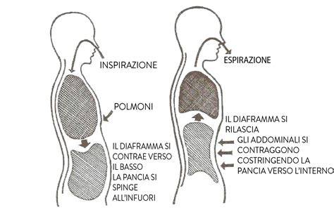 diagramma respirazione diaframmatica tai chi
