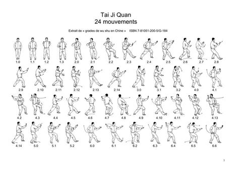 forme Tai Chi Yang 24 movimenti