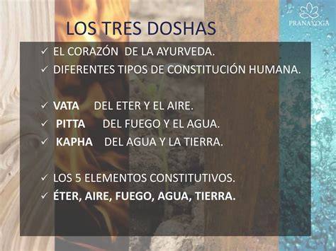 imagen esquemática de Panchamahabhutas y doshas