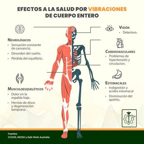 infografÍa protocolo Abhyanga cuerpo entero