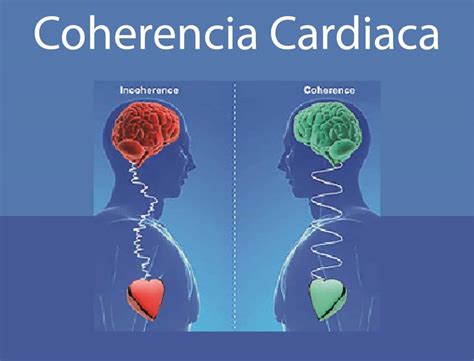 Esquema de coherencia cerebro-corazón