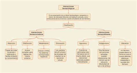 Esquema conceptual de interacciones mente-cuerpo