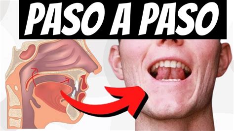 diagrama de colocación de la lengua en el paladar