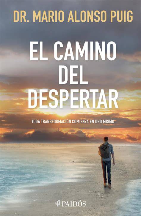 infografía: camino del despertar budista