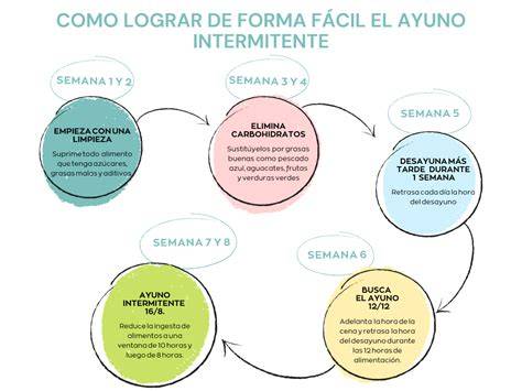 infografico_diagrama_proceso_ayuno_meditacion