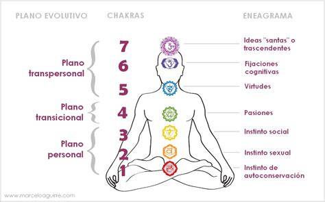 diagrama de los 7 chakras y sus ubicaciones