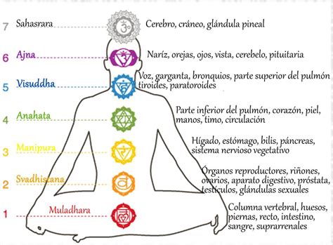 diagrama de chakras y ubicacion Ajna