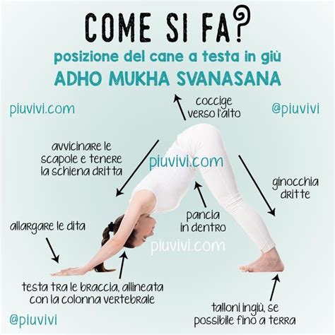 Immagine di Adho Mukha Svanasana eseguita correttamente