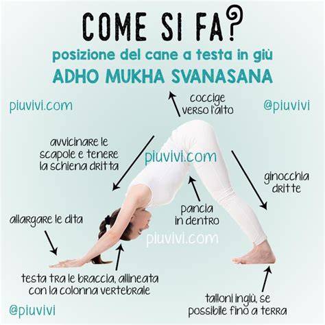 Schema delle varianti di Adho Mukha Svanasana