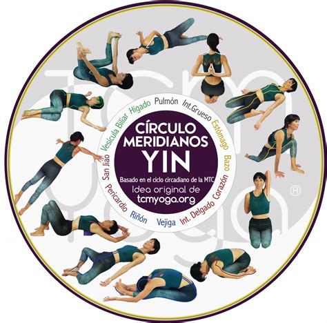 ilustración del yin yoga y meridianos