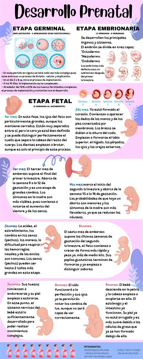 visualización de etapas del embarazo y yoga prenatal