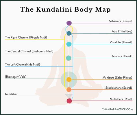 Infografía: etapas de Kundalini y chakras