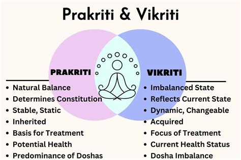 Infografico sobre Ayurveda y Prakriti y Vikriti