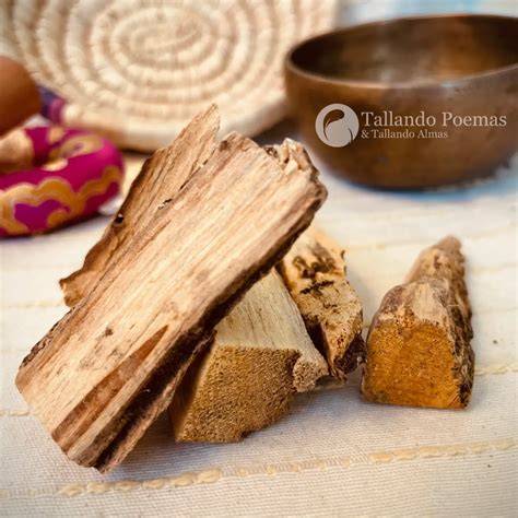 ilustración naturaleza Palo Santo y su proceso