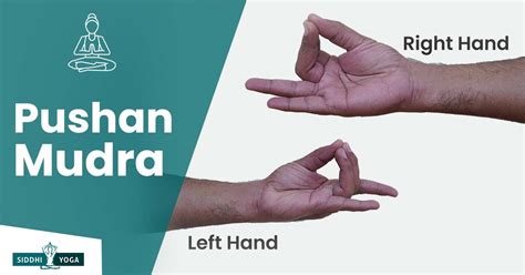 ilustración de Pushan Mudra y anatomía estómago