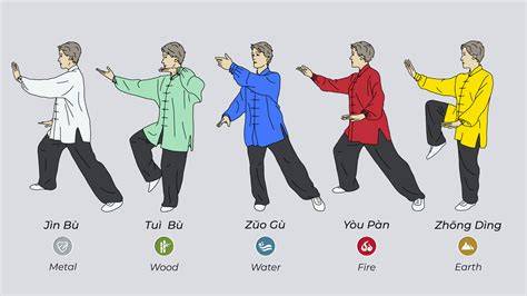 diagrama de estilos Tai Chi Yang Chen comparación
