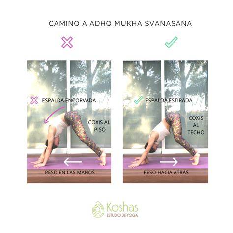 Ilustración de las asanas para alergias (Kurmasana, Adho-Mukha Svanasana, Bhujangasana)