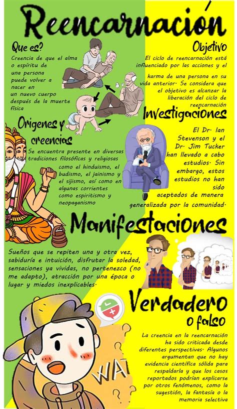 Infografía sobre reencarnación y estados intermedios