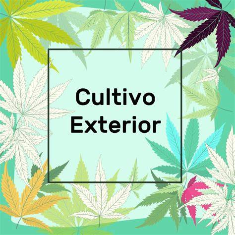 Mapa de distribución óptima para cultivo exterior