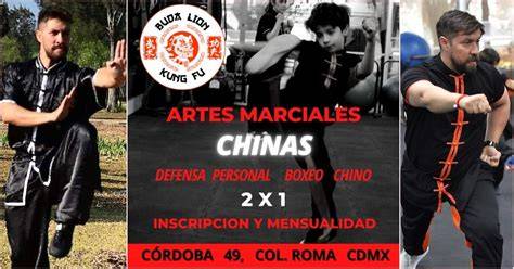 imágenes de coreografías de artes marciales chinas