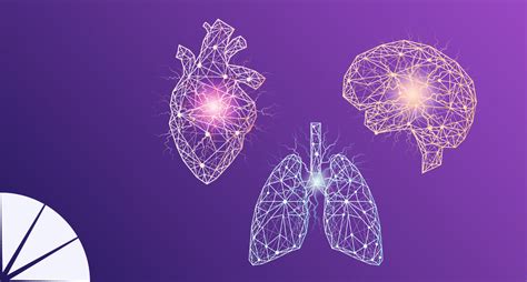 Gráfica de visualización del corazón y la respiración