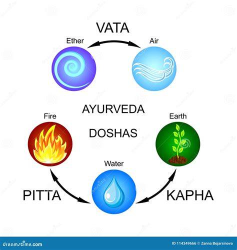 anatomía y doshas en ayurveda