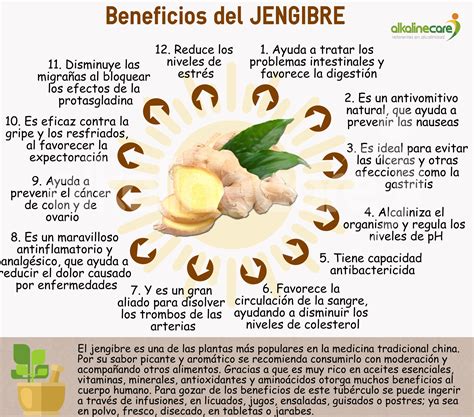 infografía beneficios jengibre limón