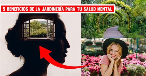 infografía beneficios jardinería salud mental